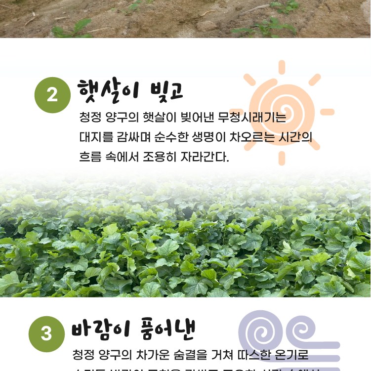 아빠맘 펀치볼 삶은시래기 1팩 (330g),1박스,2박스,3박스